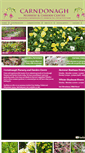 Mobile Screenshot of carndonaghnursery.town.ie